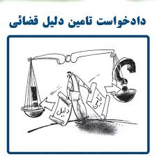 تامبن دلیل و تامین خواسته